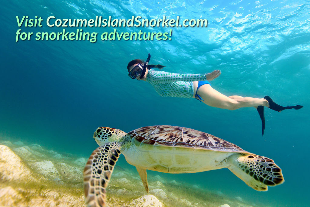 Snorkeling in Cozumel